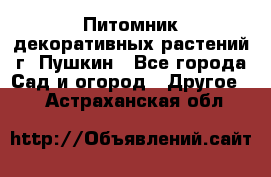 Питомник декоративных растений г. Пушкин - Все города Сад и огород » Другое   . Астраханская обл.